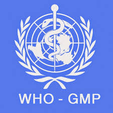 GMP WHO: Thực hành tốt sản xuất dược phẩm